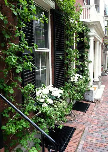 Beacon Hill Courtyard project