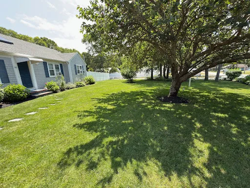 NewGrass Landscaping work photo