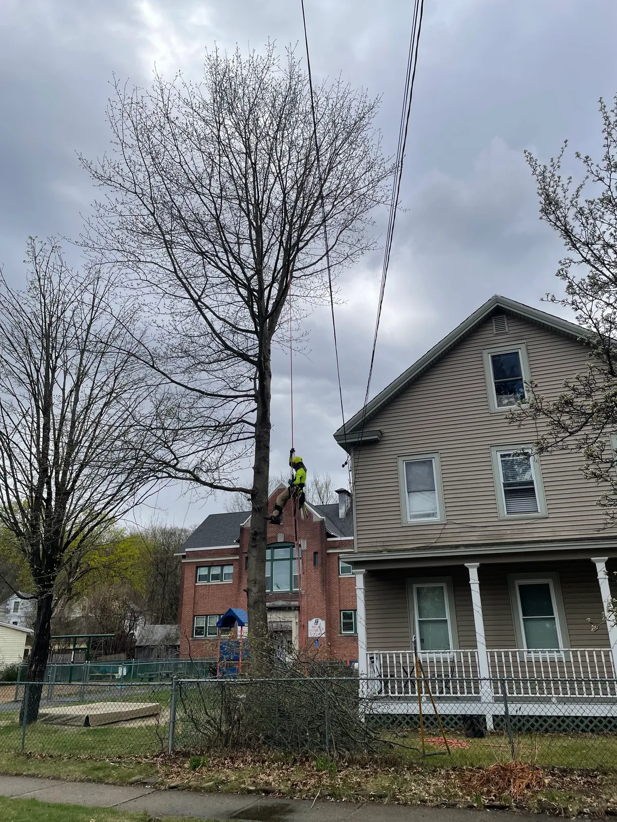 work photo from Google listing