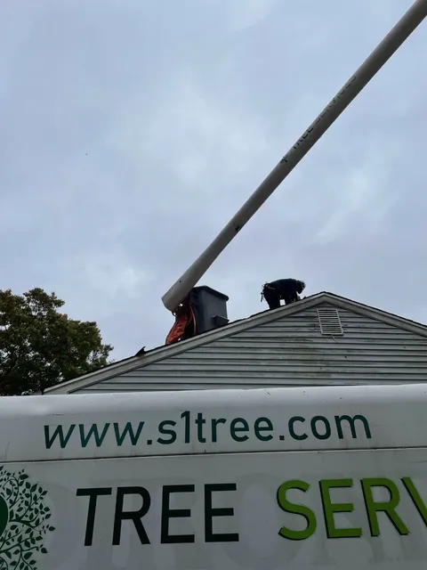 work photo from s1tree.com