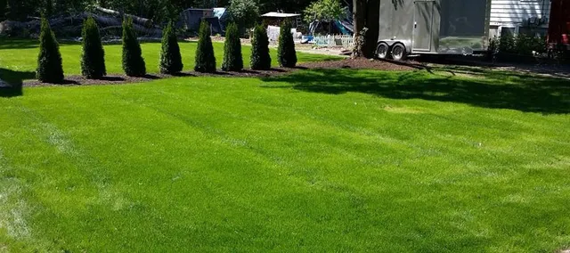 Lawn Maintenance
