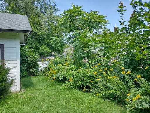 Review photo by Tina Wall