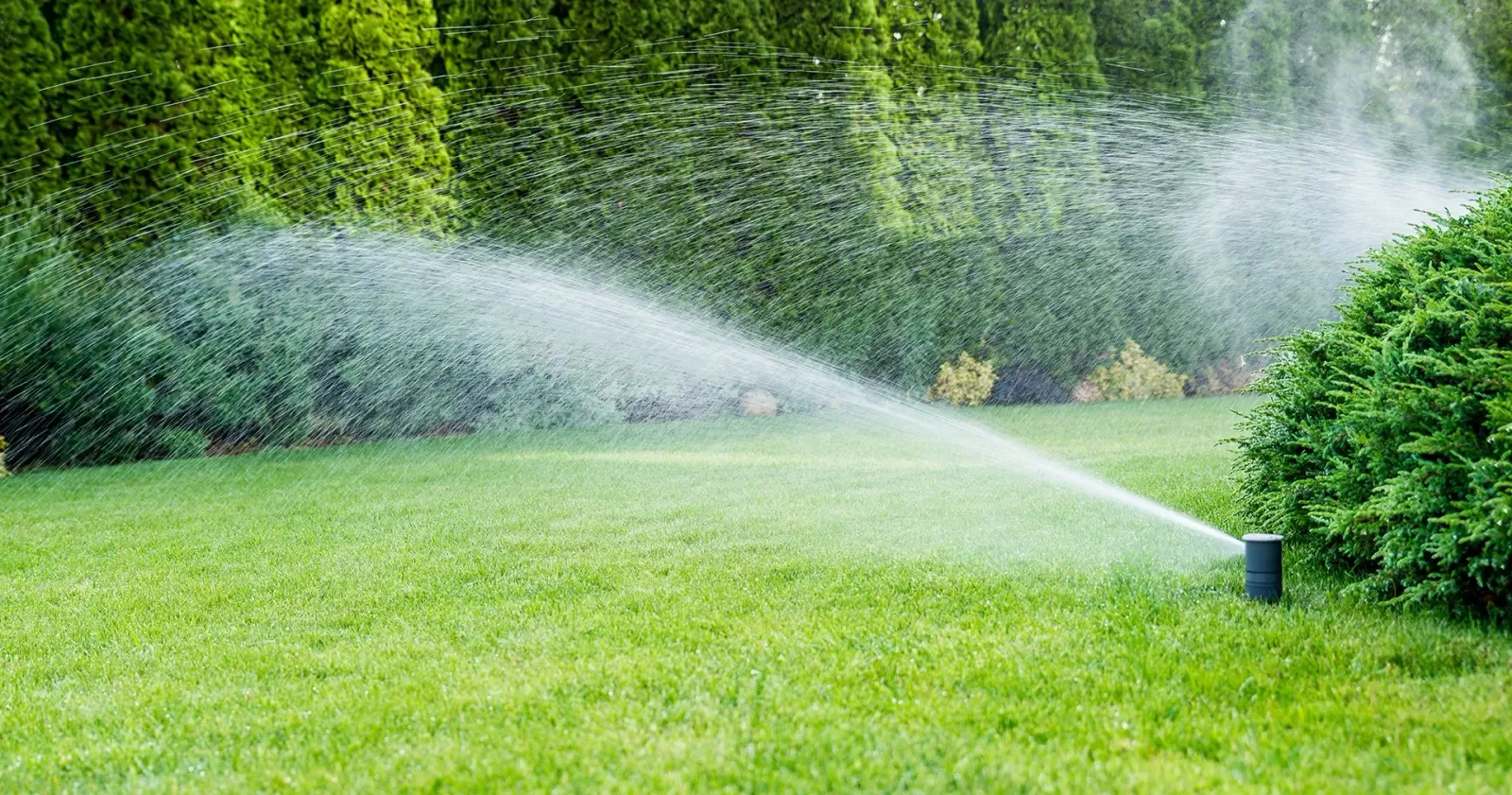 sprinklers