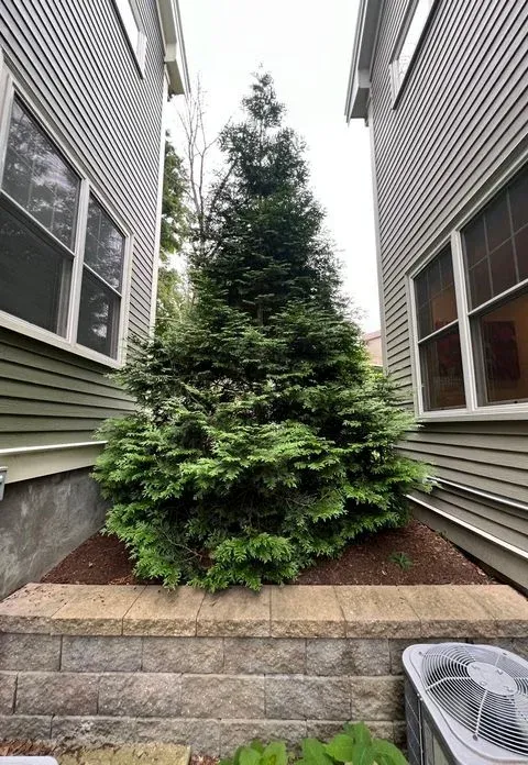 work photo from gaticalandscaping.com