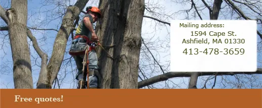 Dostal Tree Service