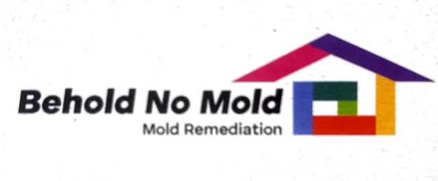 Behold No Mold work photo