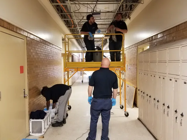 work photo from Google listing