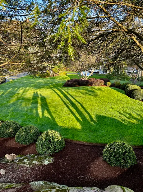 RJM Landscape