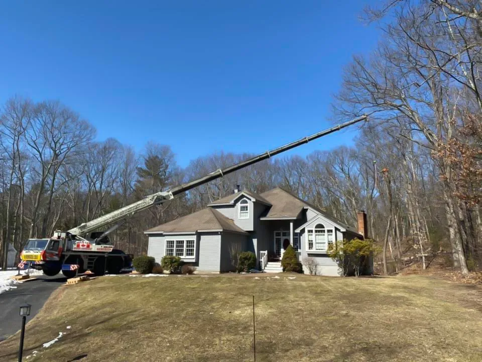 Crane and bucket truck lifting tree section over a house, demonstrating crane work for tough