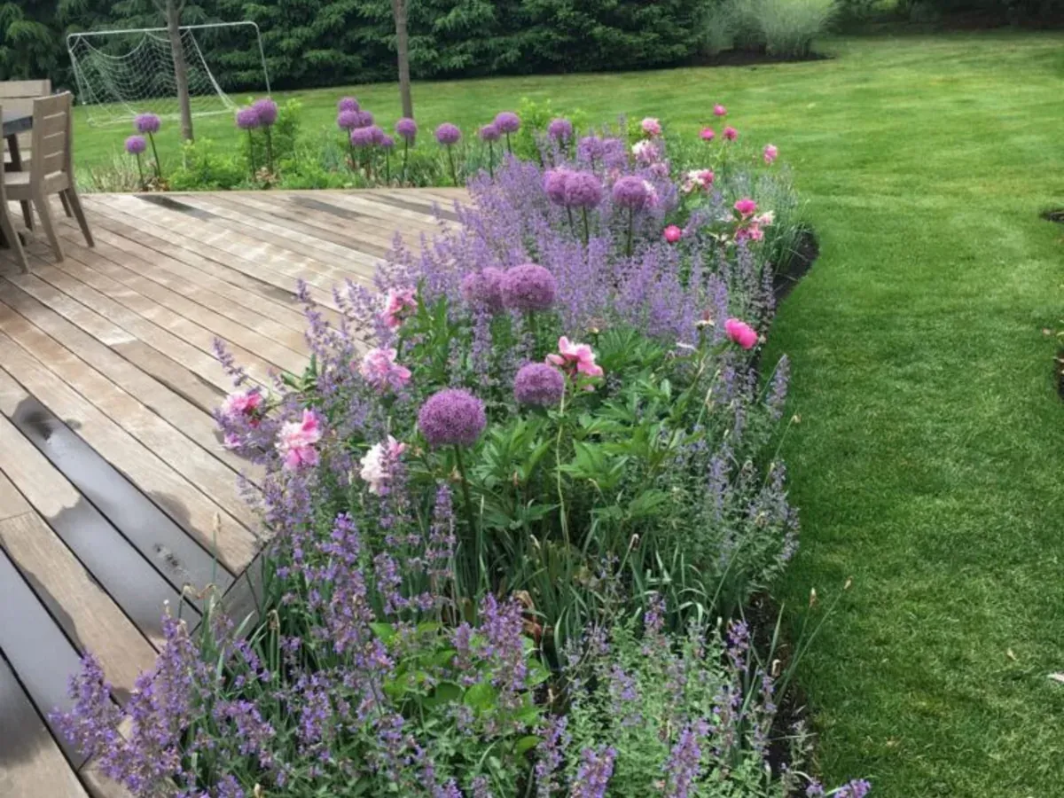 Perennial planting design