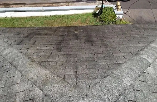 roof-before