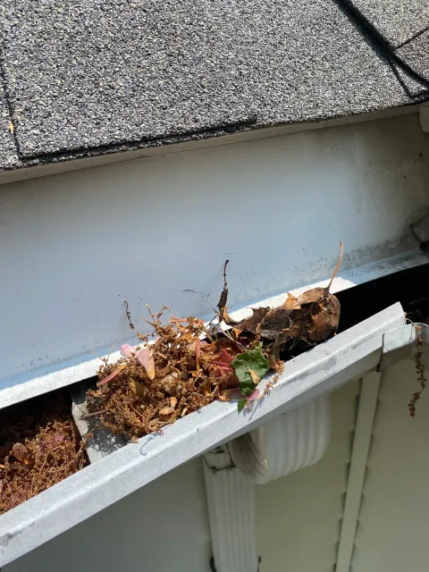 Clogged gutter packed with leaves and debris along a roof edge before cleaning