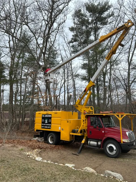 T.R. Brown Tree and Landscape LLC work photo