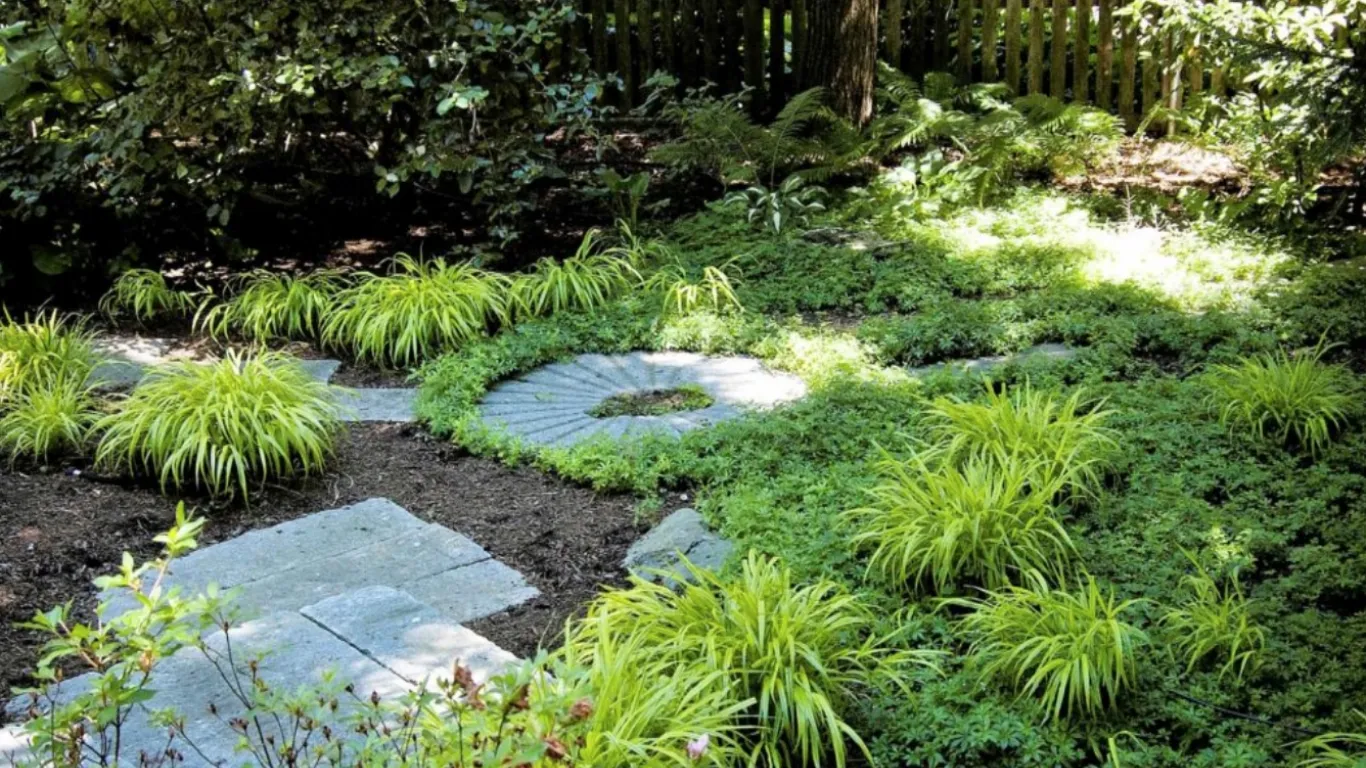 A garden scene with lush green plants and a stone pathway. The path features a circular stone design surrounded by low-growing greenery. Sunlight filters through trees, casting dappled shadows on the garden floor and highlighting the vibrant foliage.