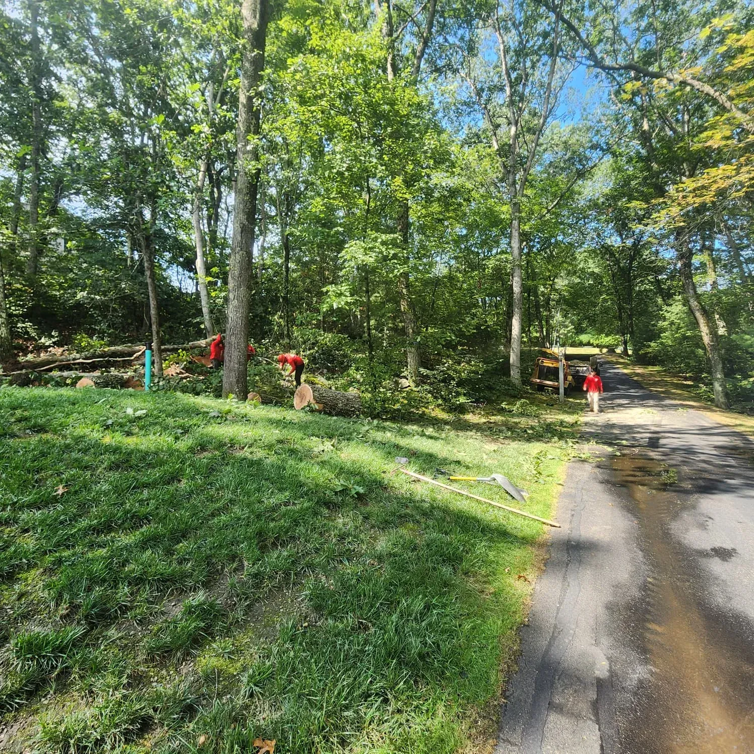 work photo from diamondlandscapingtreeservices.com