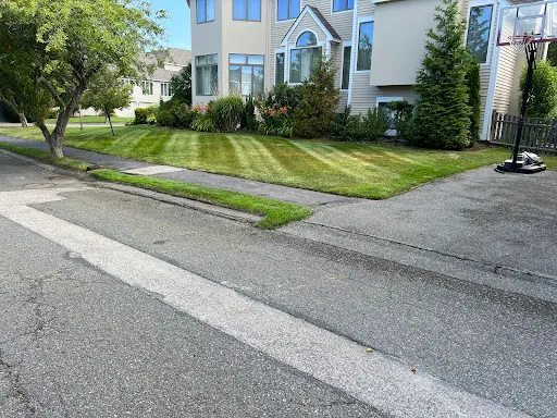 Review photo by Antonio’s landscaping