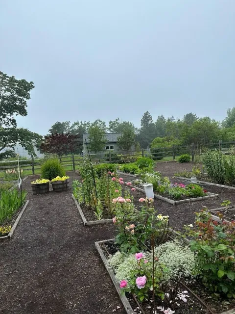 work photo from zggardens.com
