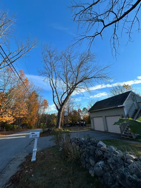 Leafy yard with a stone wall, bare trees, and a garage under a bright blue sky