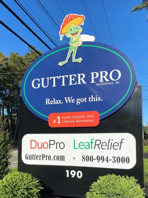 work photo from gutterpro.com