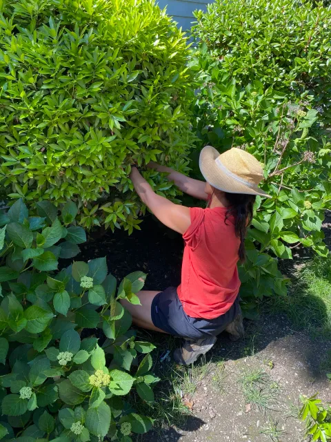 work photo from allgardensinc.com