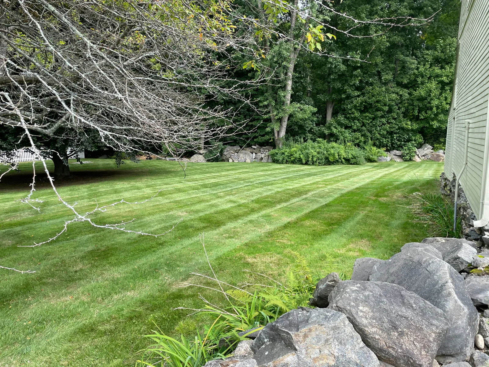 NJG Landscaping researched project photo