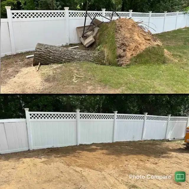 Old tree stumps can ruin your landscape look