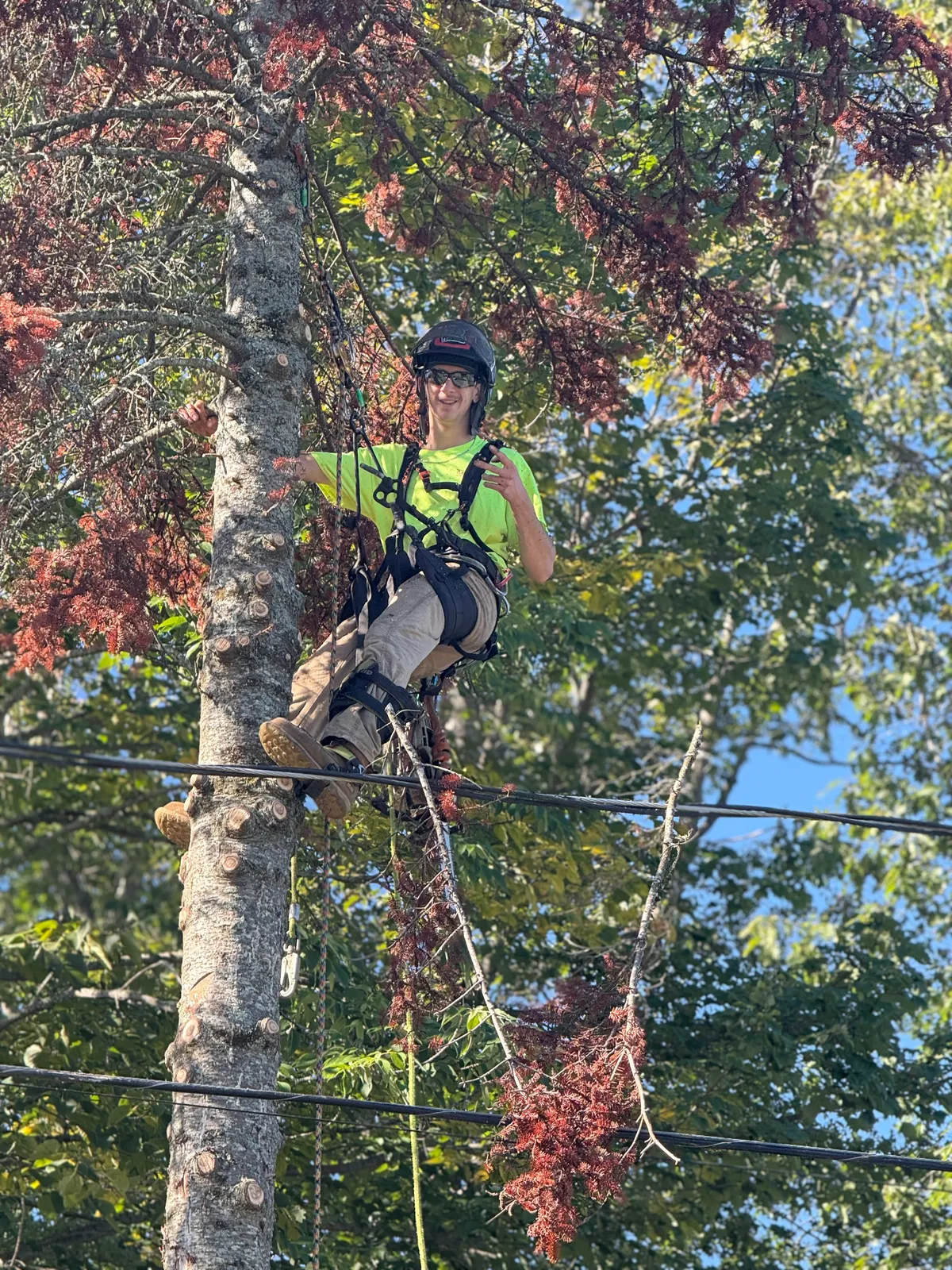 work photo from Google listing
