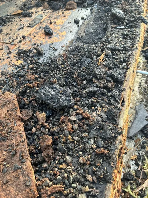 Close-up of a charred, burnt surface with black ash and orange embers along the edges.