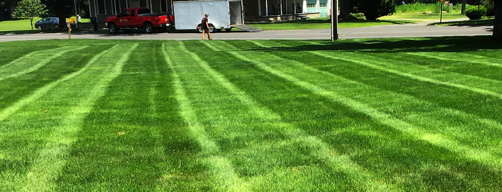 Your lawn and landscape
the way that it should be