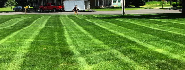 Your lawn and landscape
the way that it should be