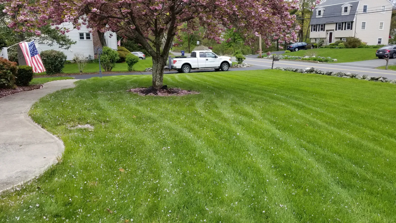 work photo from Google listing