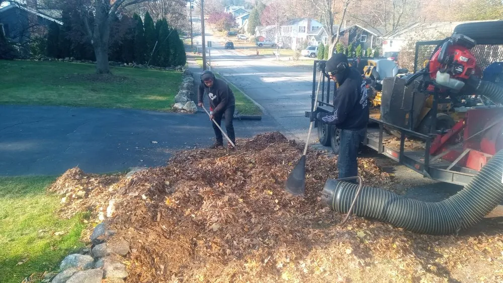 CESAR LANDSCAPING researched project photo
