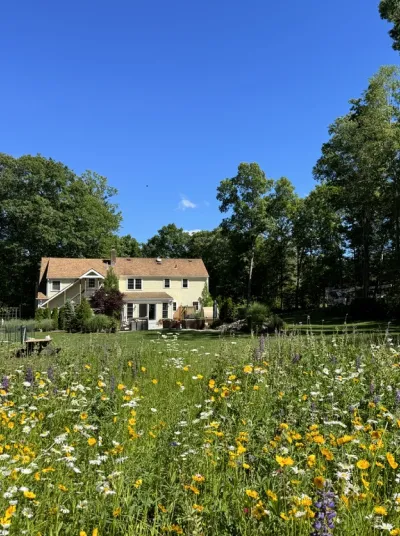 house in garden