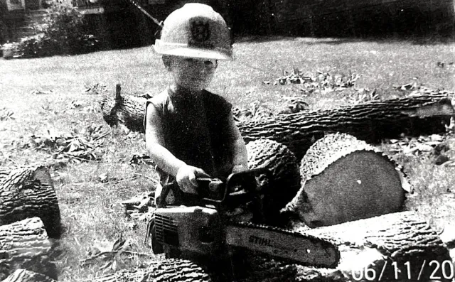 Tree work