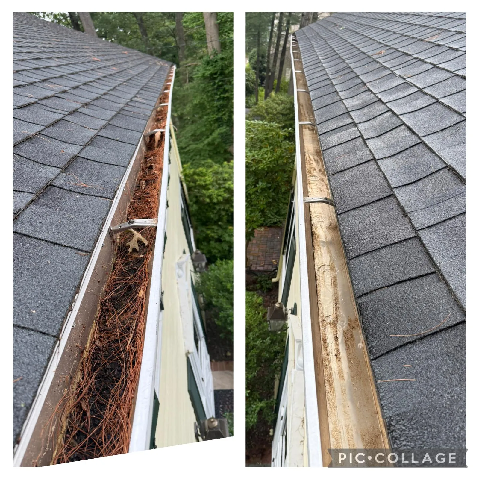 Next Level Window Cleaning Inc