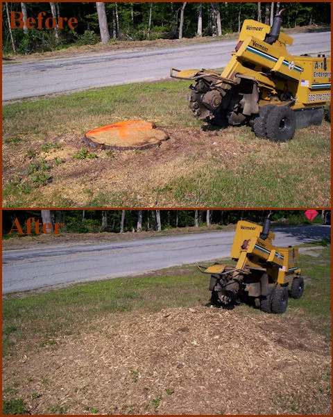 A1 Enterprises Stump Grinding work photo