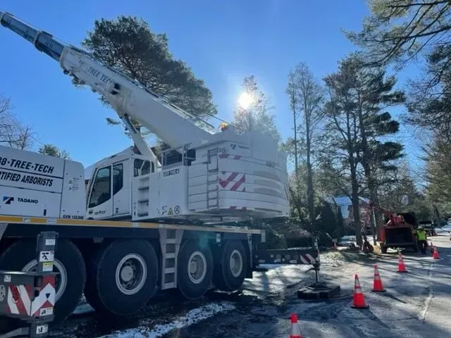work photo from treetechinc.net