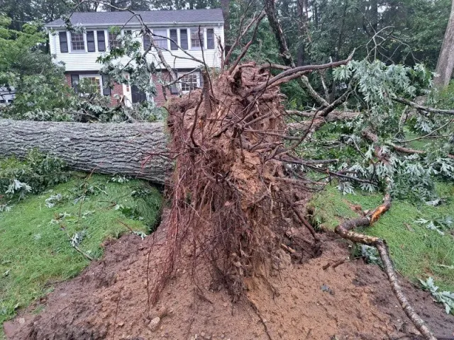 work photo from lovetreelandscapeservices.com
