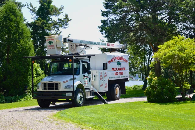 Mike's Professional Tree Service work photo