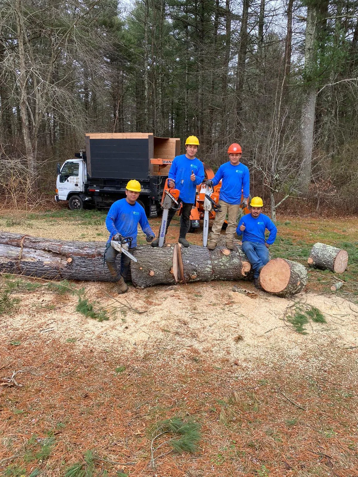 work photo from adantreeservices.com