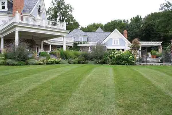 work photo from kuczotreeandlawncare.com