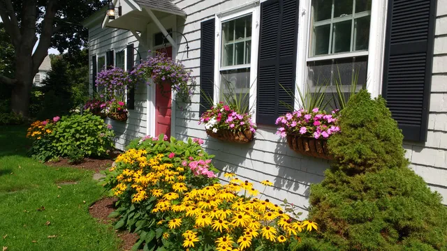Hoad Associates, Landscaping and Gardening work photo