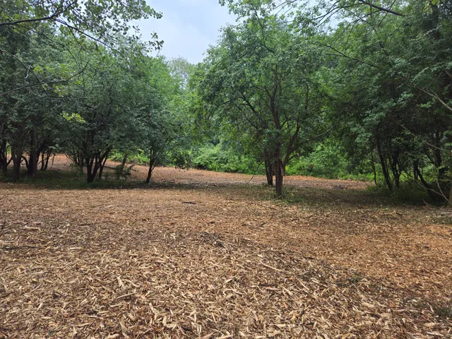 Berkshire Hills Forestry Mulching work photo