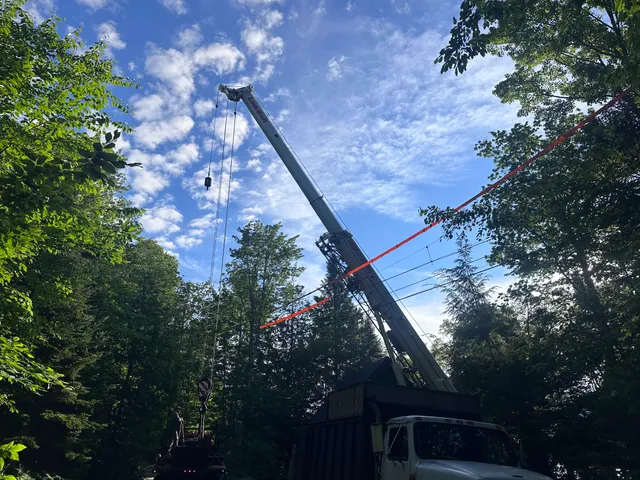 North East Tree Service LLC work photo