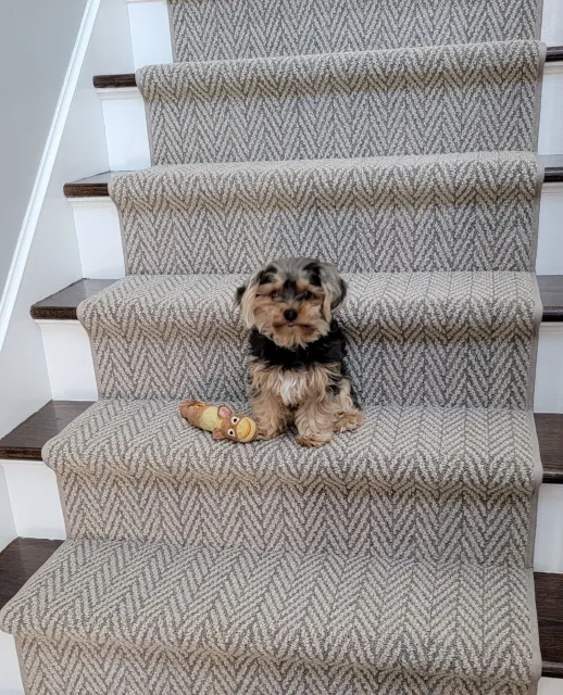 work photo from carpetcraftersllc.com