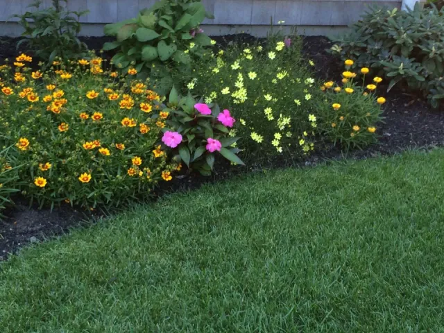 work photo from millersprolandscape.com