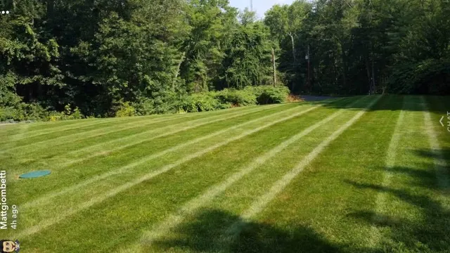 M.G Lawn and Landscape Services work photo