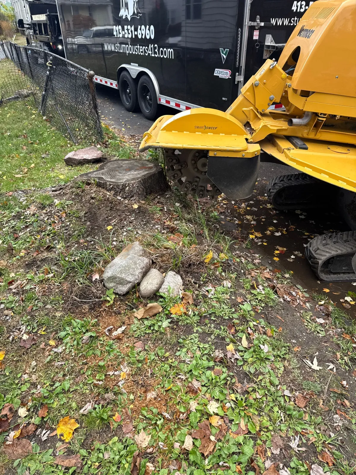 Yellow stump grinder at work in a yard, with rocks and trailer in the background.