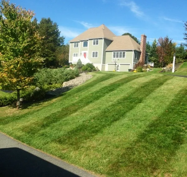 Yearly Lawn Maintenance