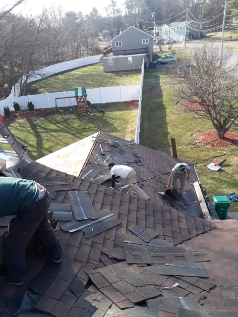 Eli's Roofing
